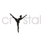 logo25