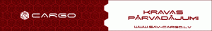 web banner design RK4 design